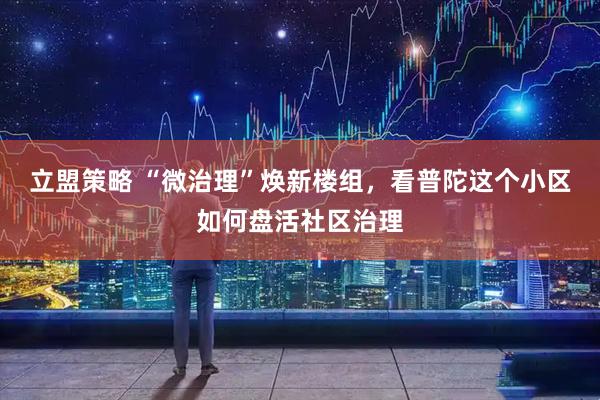 立盟策略 “微治理”焕新楼组，看普陀这个小区如何盘活社区治理