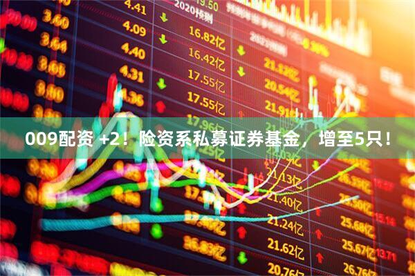 009配资 +2！险资系私募证券基金，增至5只！