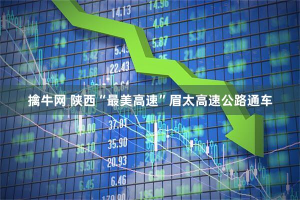 擒牛网 陕西“最美高速”眉太高速公路通车