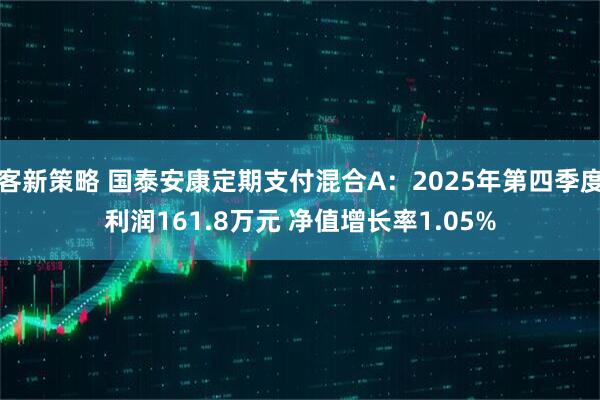 客新策略 国泰安康定期支付混合A：2025年第四季度利润161.8万元 净值增长率1.05%