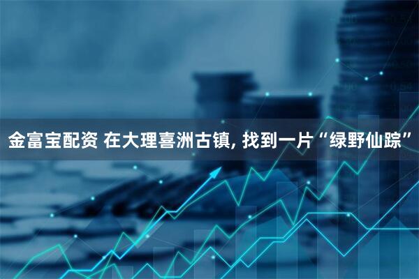 金富宝配资 在大理喜洲古镇, 找到一片“绿野仙踪”